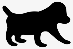 Small Dog On - Dog #4005820