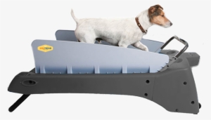 Small Dog Treadmill #4005895