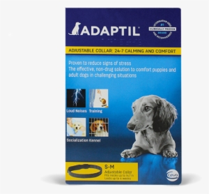 Adaptil Collars #4006109