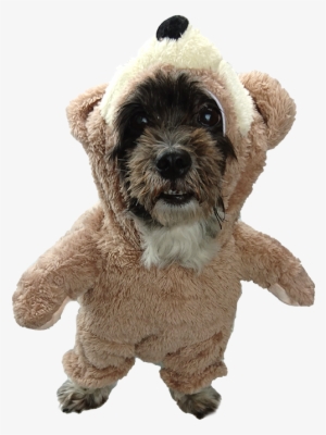 Teddy Bear Small Dog Costume On The Hunt Dog Beds And - Guitar Costume For Dogs Transparent #4006329