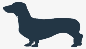 Dachshund Dog Icon #4006706