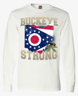 Ohio State Flag #4007011