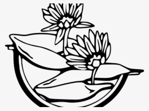 Water Lily Clipart Diagram - Water Lily Clip Art #4007045
