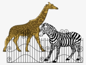 Zebra Silhouette Shower Curtain #4007540