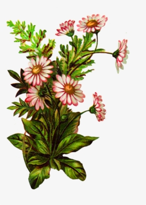 Flower Bouquet Decoration - Pink Flowers Borders And Frames #4007926