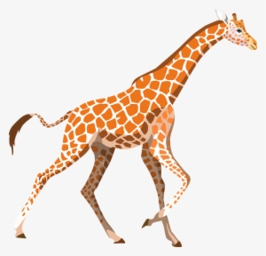 Zoo Animals Clip Art At Clker - Giraffe Clipart Pixabay #4007931