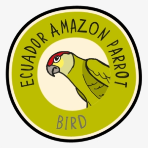 Zoo Clipart Parrot - Chester Zoo Parrots #4007966