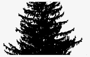 15 Vector Trees Png For Free Download On Mbtskoudsalg - Pine Tree Silhouette Free #4009342 15 Vector Trees Png For Free Download On Mbtskoudsalg - Pine Tree Silhouette Free #4009342