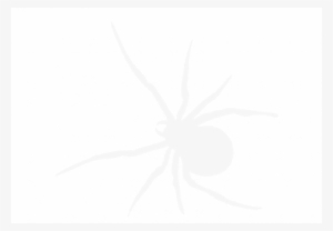 Spider Hanging Png - Black Widow Spider Silhouette Pillow Case #4009798