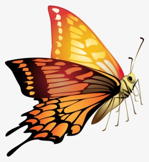Orange Butterfly Png #4009877 Orange Butterfly Png #4009877