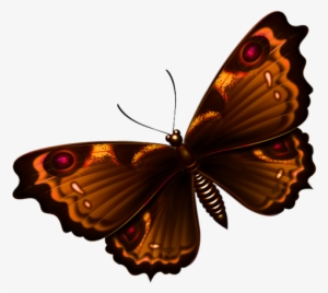 Read It - Butterfly Png Textures #4009933