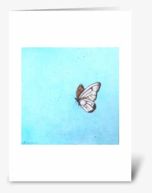 Orange Butterfly Greeting Card - Brush-footed Butterfly #4010195