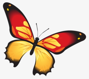 Photo Colorful Red Orange Butterfly Decoration Insect - Butterfly #4010474