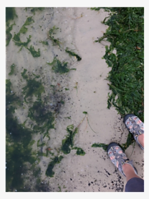 66 Results Found - Concrete #4012151