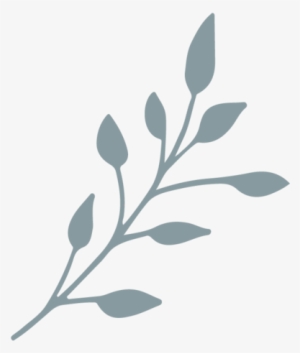 Jessica Dum Wedding Coodination - Wedding Leaf Design Png #4012186