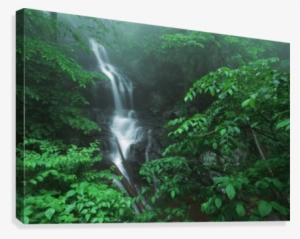 Virginia, United States Of America - Doyles River Falls Shenandoah National Park #4012312