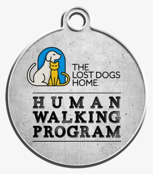 The Human Walking Program - Lost Dogs' Home #4012420