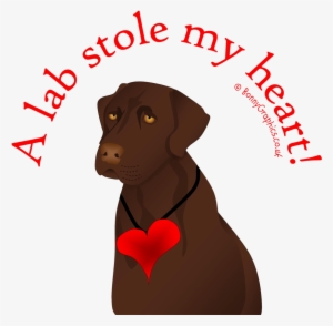 Chocolate Lab Heart> - Iphone Business Card #4012701