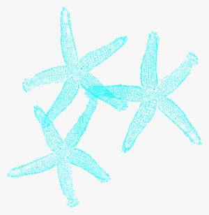 Coral And Turquoise Starfish Clip Art At Clker #4013086