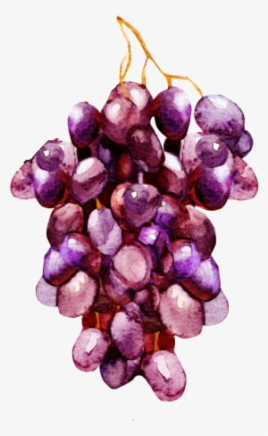Hand Painted A Bunch Of Purple Grapes Decorative - Transparent Watercolor Grape #4013443