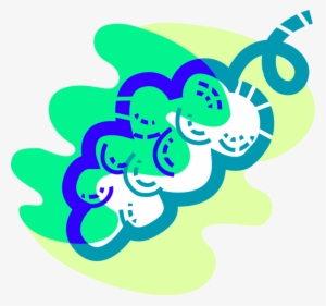 Vector Illustration Of Edible Grapevine Fruit Grapes - Graphic Design #4013485