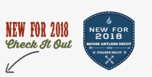 Original Size Is 493 × 246 Pixels - Decoy #4013792