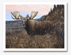 Magic Hour - Oil #4014028