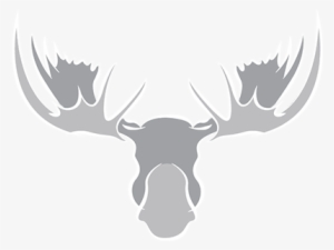 Northern Moose #4014108