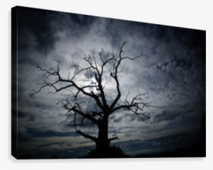 Scary Tree Canvas Print - Canvas Print #4014469