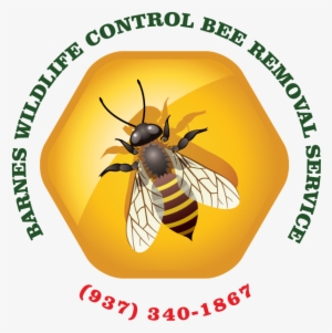 More Insights Into Bees - Bankal National High School #4014563