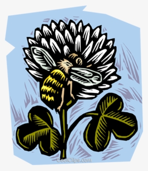 Honey Bee With Clover Royalty Free Vector Clip Art - Fertilization Do Takes Place In A Plant #4014699