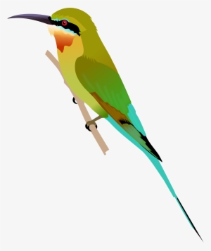 Open - Blue Tailed Bee Eater Png #4014765