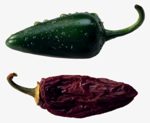 Jalapeno Pepper - Peppers #4014947