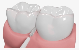 Interdentalbrush-work - Interdental Brush Png #4015394