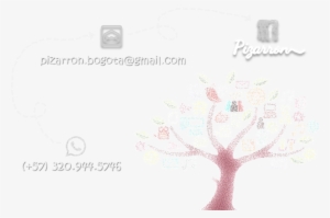 Mi Cuenta - Launcher 7 Icons #4015543