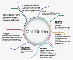 Multicellgro - Diagram #4015565 Multicellgro - Diagram #4015565