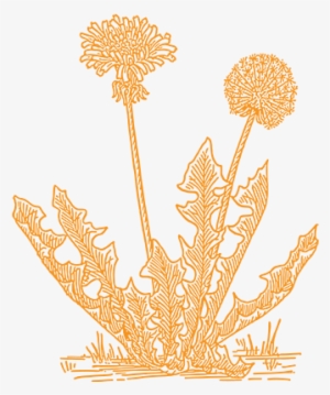 Dandelion Artists Social - Art Dandelion #4015836