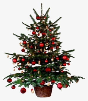 Arvore De Natal - Small Christmas Tree Png #4016809