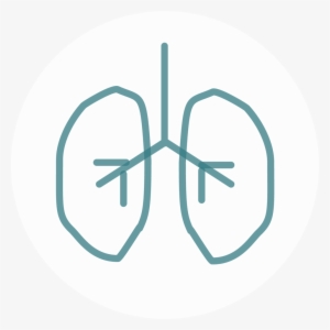 Lung Tealonwhite - El Paso Pulmonary Association #4017556