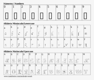 Font Details Andrade Swash - Fontes De Letras Monotype Corsiva #4017785