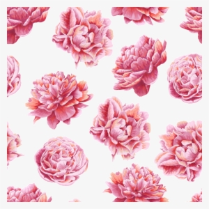 Safflower Transparent Flower Fill Background - Note Cards (pk Of 20) #4017989