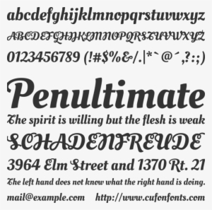 Oleo Script Swash Caps Regular #4018205