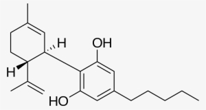 El Cbd Es Un Compuesto No Psicoactivo Que Se Encuentra - Cbd Molecule #4018979