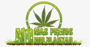 Logo Marcha Nmppp 2012 Oficial By Alexissacateunomarambio - Cannabis #4018999