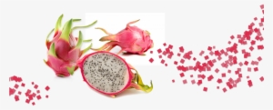 Dragon Fruit - Dried Dragon Fruit Png #4019043