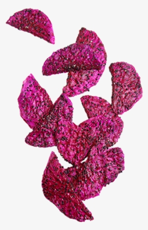 Crunchy Dried Dragon Fruit - Purple Dragon Fruit Slices #4019093
