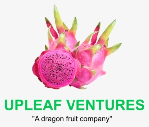 Upleaf Ventures Is An Entity Promoting And Distributing #4019195