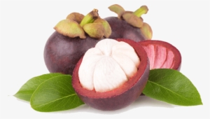 Thai Fresh Mangosteen - Мангостин Png #4019268