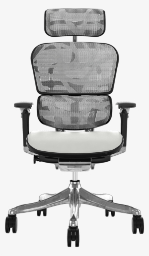 Full Size Of Swivel Office Chair Without Wheels Home - Ergohuman Plus Leather Brown #4019581