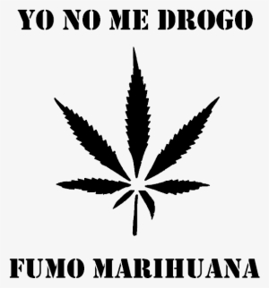 You Blocked @clubvillamaria #4019678